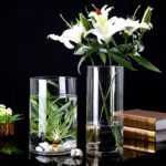 Wholesale Glass Vase HP-037 - Image 2